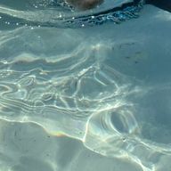 み  _＊＊＊_さんのアイコン画像