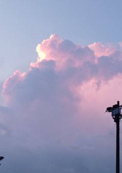 ❦ 推し事日記 ❦