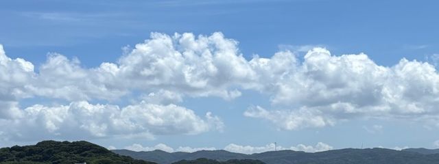 やこさんの壁紙画像