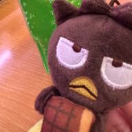 やこさんのアイコン画像