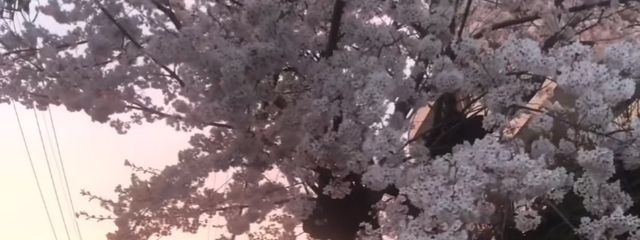 いねむり先生さんの壁紙画像