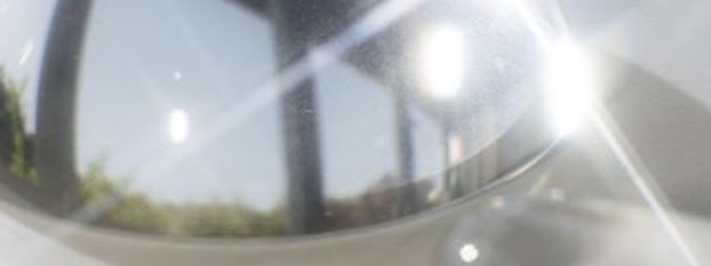 なまけももさんの壁紙画像