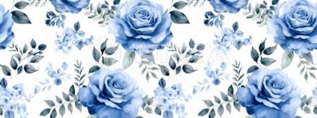 Ayaさんの壁紙画像