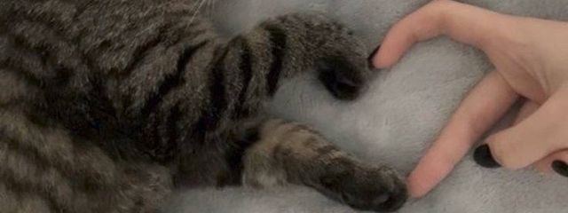 เป๊ฑ๐ ๐๐ธ ใใฝใ๐ ๐๐ธ เป๊ฑใใใฎๅฃ็ด็ปๅ