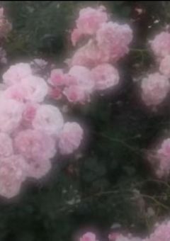 ら い ち ☆ 光 く ら ぶ