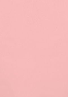 EBiDAN✖️吉田さん???!!!