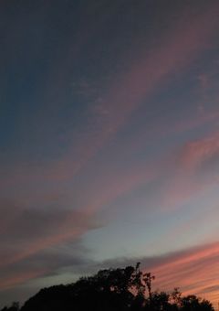 参加型提出済キャラ一覧