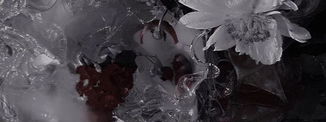 ☩ 亞 憐 ✧さんの壁紙画像