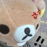 たらこ。さんのアイコン画像