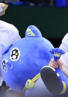 大阪ブルテオンの子猫