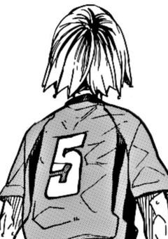 音駒の脳に攻略されちゃいました。