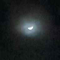 ぎにさんのアイコン画像