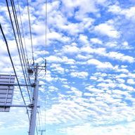 🎲　る　ぁ　🎲さんのアイコン画像