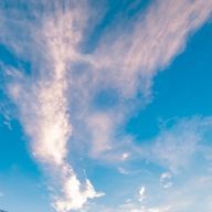 𝑺𝑼𝑰さんのアイコン画像