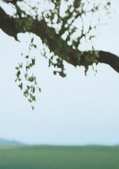 推しから家族