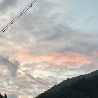 こっこさんさんのアイコン画像