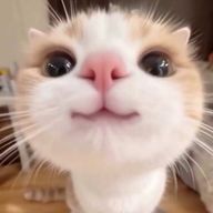 ごみさんのアイコン画像
