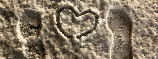 りんさんの壁紙画像