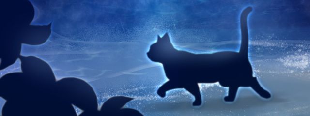 猫ギアガスさんの壁紙画像