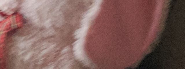 さばナツぷルさんの壁紙画像