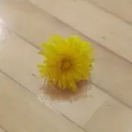 kasumiさんのアイコン画像