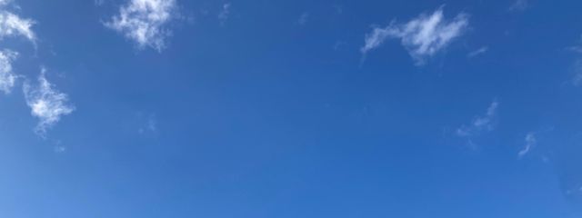 ほっほさんの壁紙画像