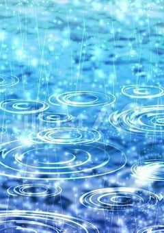 雨と、君と、暖かな太陽