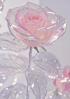 最悪の出会いをした貴方と....