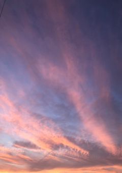 その手を離さないで.🦇