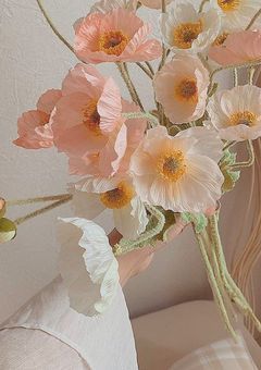 𝘩𝘪𝘮𝘢𝘳𝘰𝘰𝘮𖠿ˊ˗