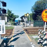 有坂さんのアイコン画像