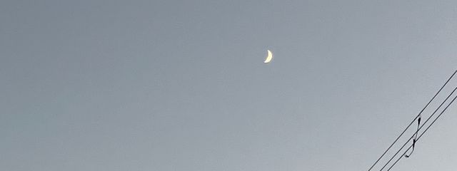 おもち〜♪さんの壁紙画像