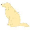 ミンギュ