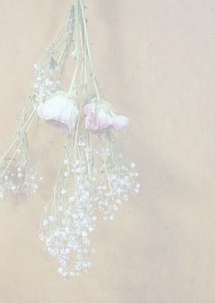 時透くんに愛されすぎて困るのも悪くない。