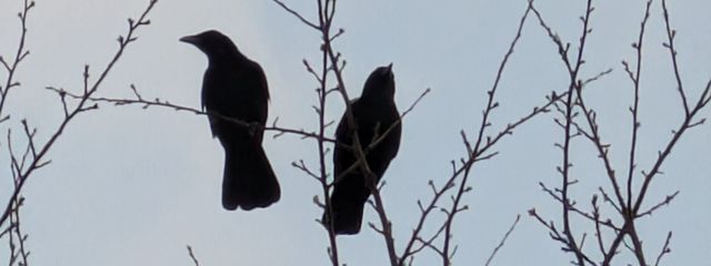 .さんの壁紙画像