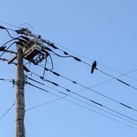 .さんのアイコン画像