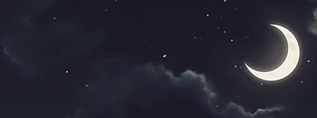 みーさんの壁紙画像