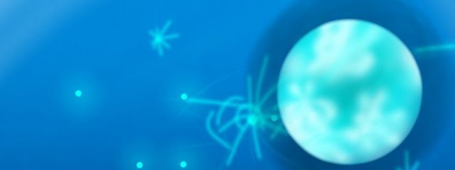 ライ_rai⚡💎@活動休止中さんの壁紙画像