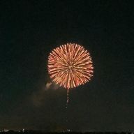 蝶形苺さんのアイコン画像