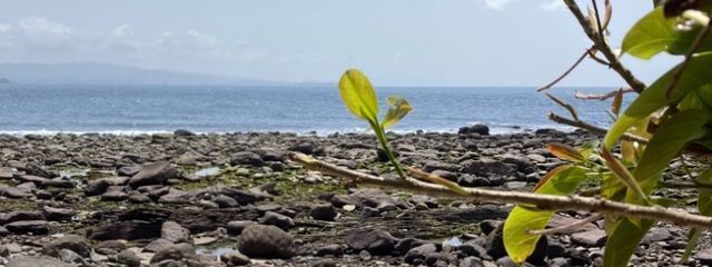 チェダチーさんの壁紙画像