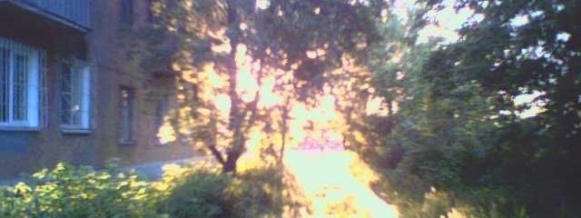 nabiさんの壁紙画像