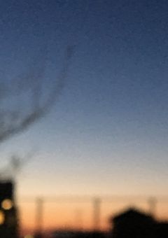 夕日が綺麗ですね
