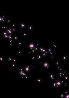 夜桜