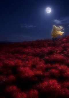 貶められた嫌われ隊士、鬼に絆される。