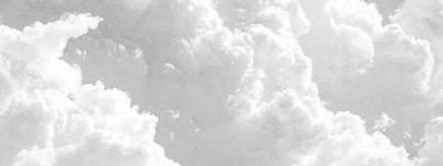 みつはにぃ🍯さんの壁紙画像