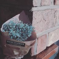 葵さんのアイコン画像