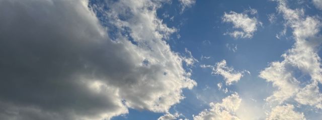 ペンタさんの壁紙画像