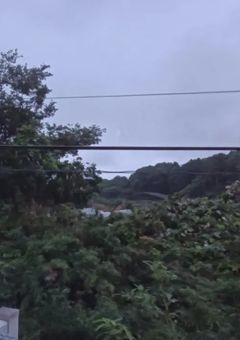 元凶コンビが幻想入りしたそうです。