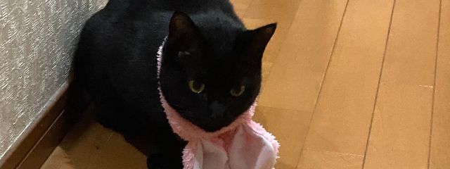 凡人 @低浮さんの壁紙画像