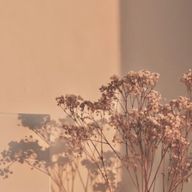抹茶さんのアイコン画像